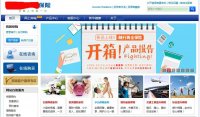 金融保险公司网站建设