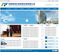 企业管理咨询公司网站建设