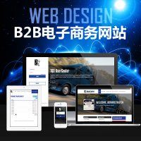 B2B电子商务网站建设