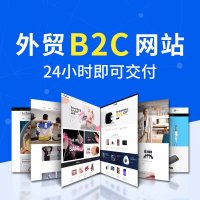 外贸企业B2C商城网站建设